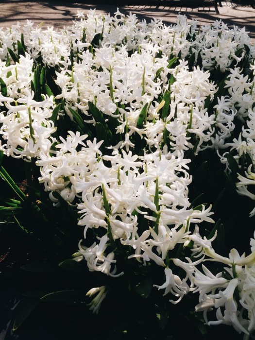 Processed with VSCOcam with a6 preset