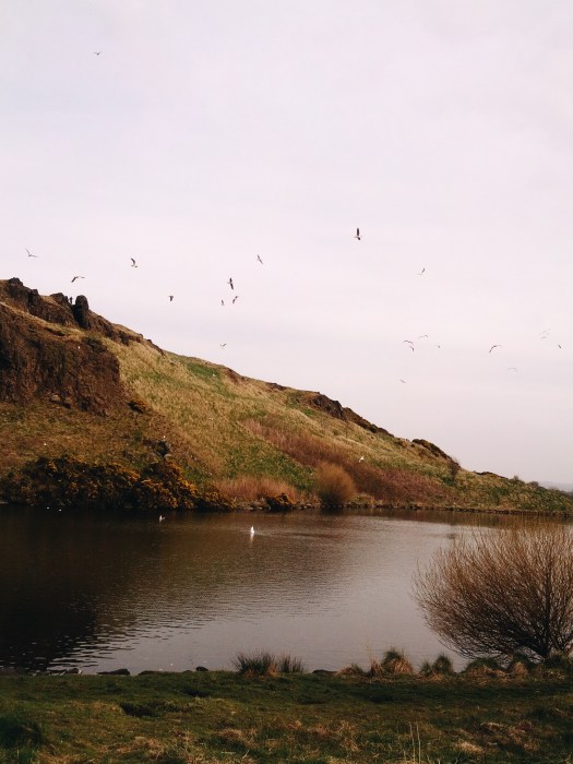 Processed with VSCOcam with a6 preset