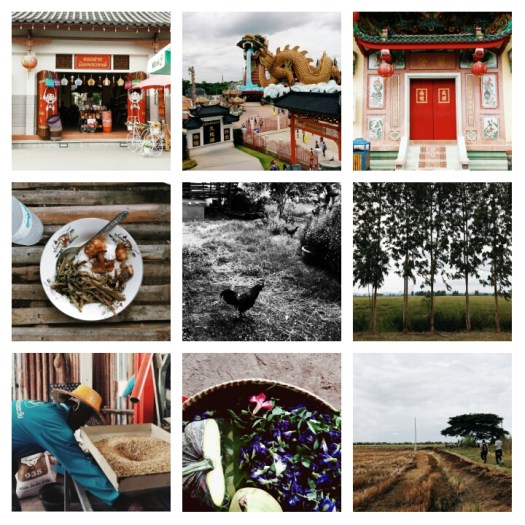 Top Row (From L to R): Middle Row (From L to R): Bottom Row (From L to R):